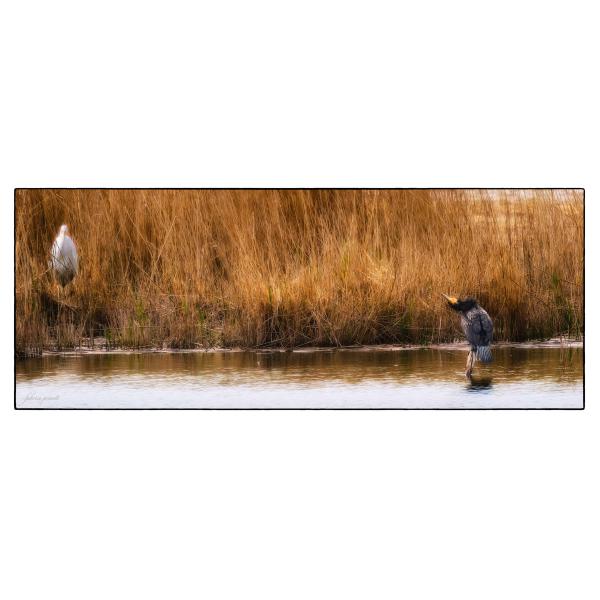 PHOTO84, CLUB, 84 , LUBERON